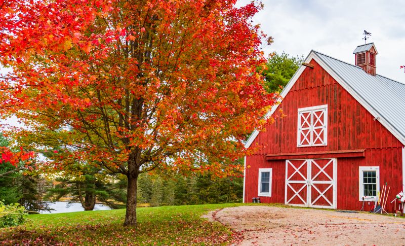 Barn Construction in Conroe, TX